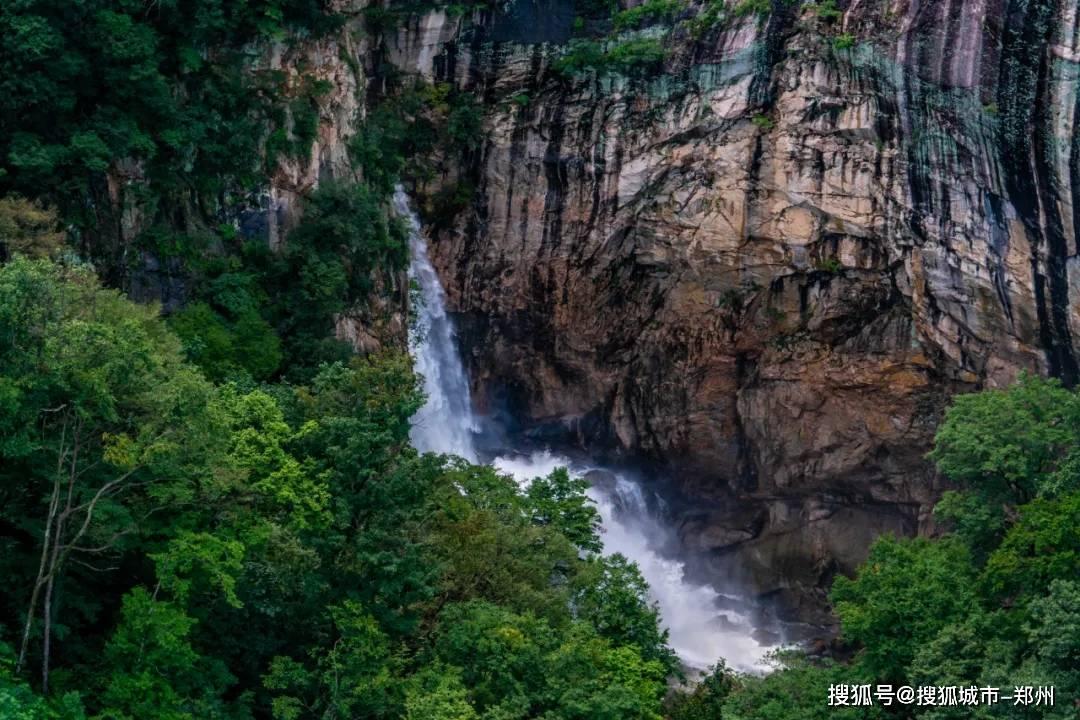 迷路的披萨配送员